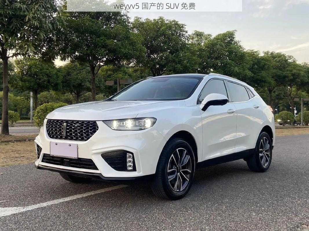 weyvv5 国产的 SUV 免费