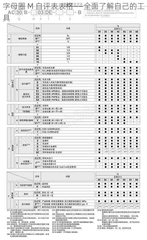 字母圈 M 自评表表格——全面了解自己的工具