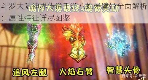 斗罗大陆神界传说手游八蛛矛臂骨全面解析：属性特征详尽图鉴