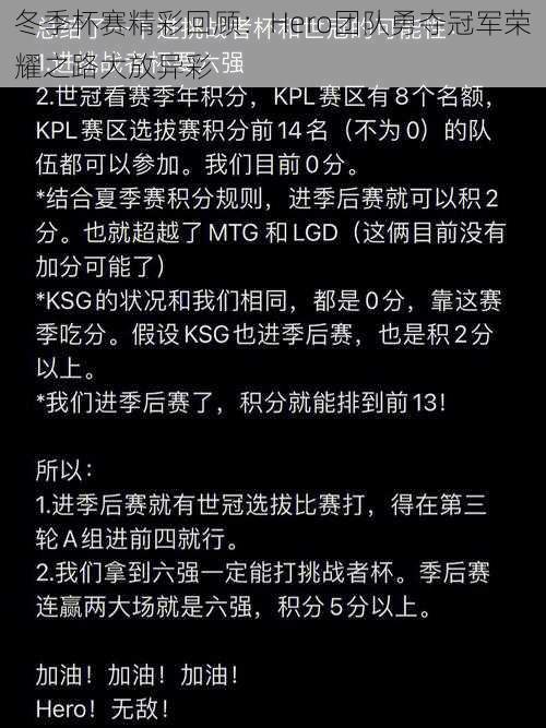 冬季杯赛精彩回顾:Hero团队勇夺冠军荣耀之路大放异彩