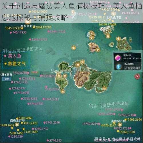 关于创造与魔法美人鱼捕捉技巧:美人鱼栖息地探秘与捕捉攻略