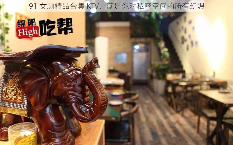 91 女厕精品合集 KTV,满足你对私密空间的所有幻想