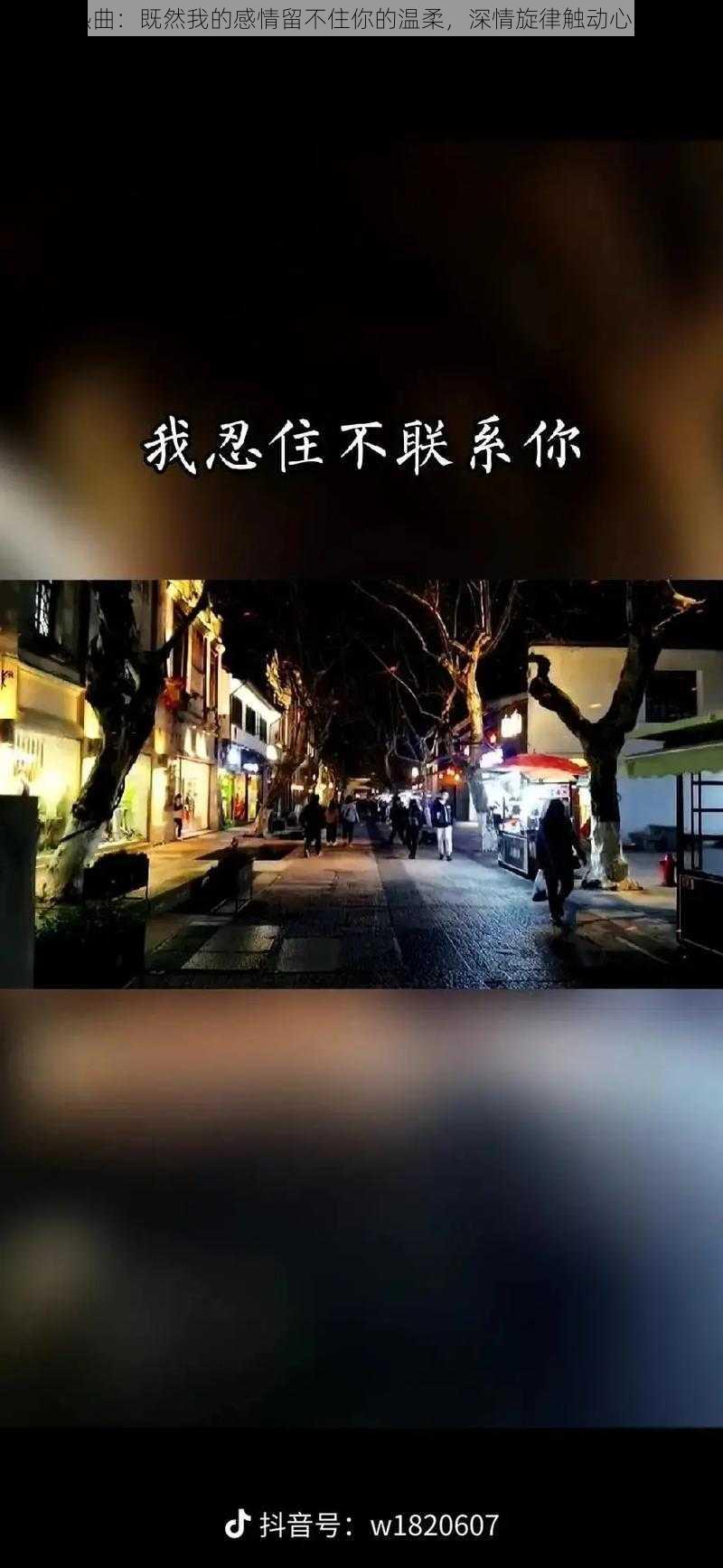 抖音热曲:既然我的感情留不住你的温柔,深情旋律触动心灵之弦