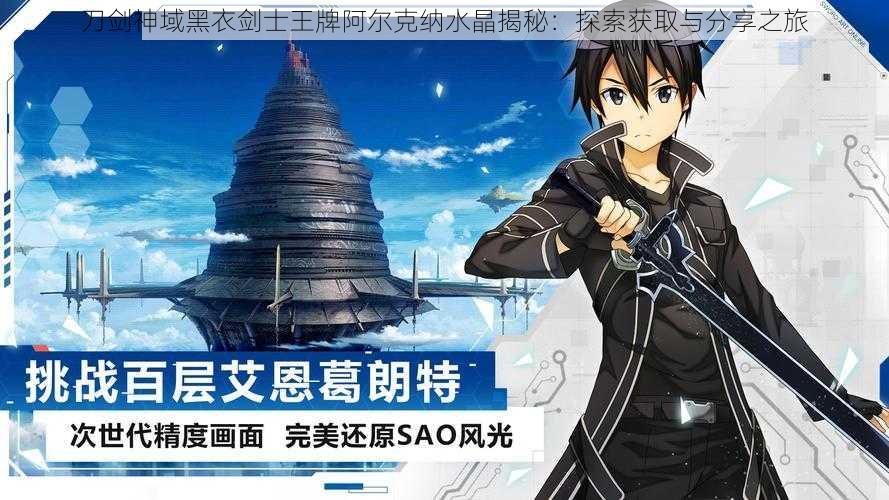 刀剑神域黑衣剑士王牌阿尔克纳水晶揭秘:探索获取与分享之旅