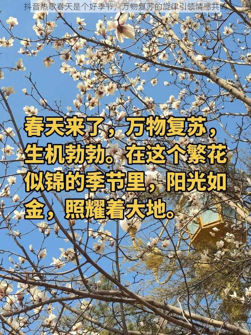 抖音热歌春天是个好季节，万物复苏的旋律引领情感共鸣