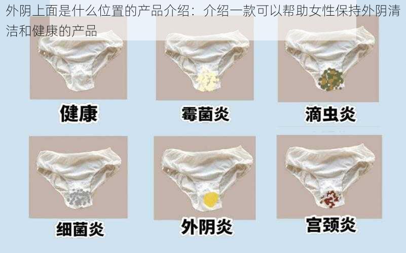 外阴上面是什么位置的产品介绍:介绍一款可以帮助女性保持外阴清洁和健康的产品