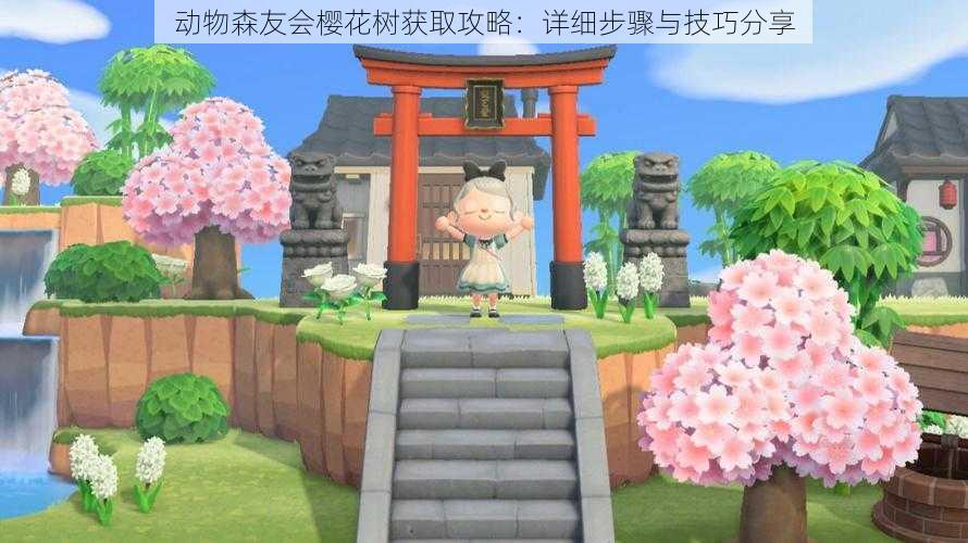 动物森友会樱花树获取攻略:详细步骤与技巧分享
