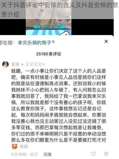 关于抖音评论中安排的含义及抖音安排的意思介绍