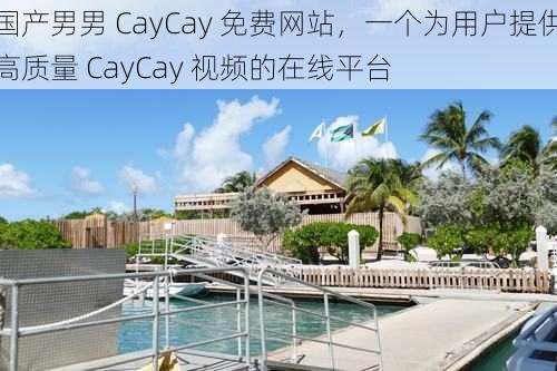 国产男男 CayCay 免费网站,一个为用户提供高质量 CayCay 视频的在线平台