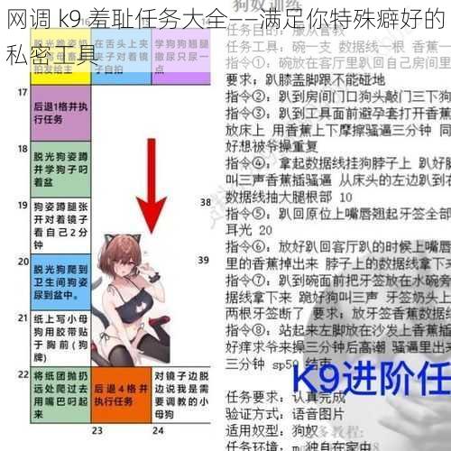 网调 k9 羞耻任务大全——满足你特殊癖好的私密工具