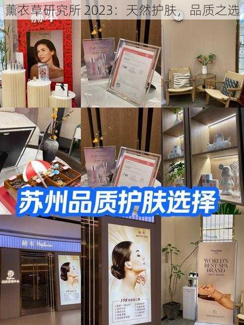 薰衣草研究所 2023:天然护肤,品质之选