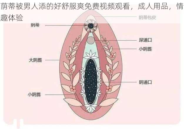 荫蒂被男人添的好舒服爽免费视频观看,成人用品,情趣体验