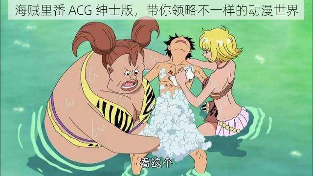 海贼里番 ACG 绅士版,带你领略不一样的动漫世界