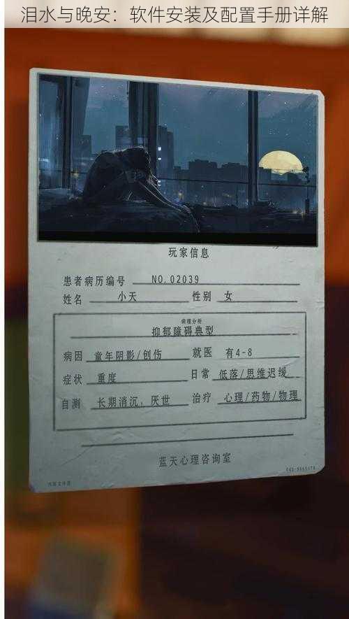 泪水与晚安:软件安装及配置手册详解