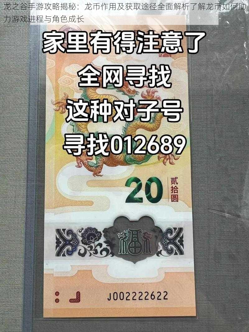 龙之谷手游攻略揭秘:龙币作用及获取途径全面解析了解龙币如何助力游戏进程与角色成长