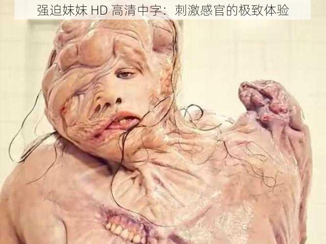 强迫妺妺 HD 高清中字:刺激感官的极致体验