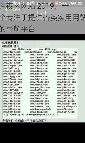 深夜求网站 2019,一个专注于提供各类实用网站的导航平台