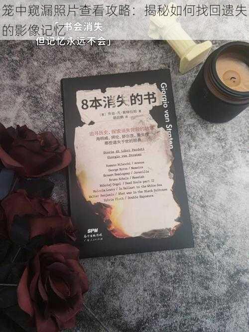 笼中窥漏照片查看攻略:揭秘如何找回遗失的影像记忆