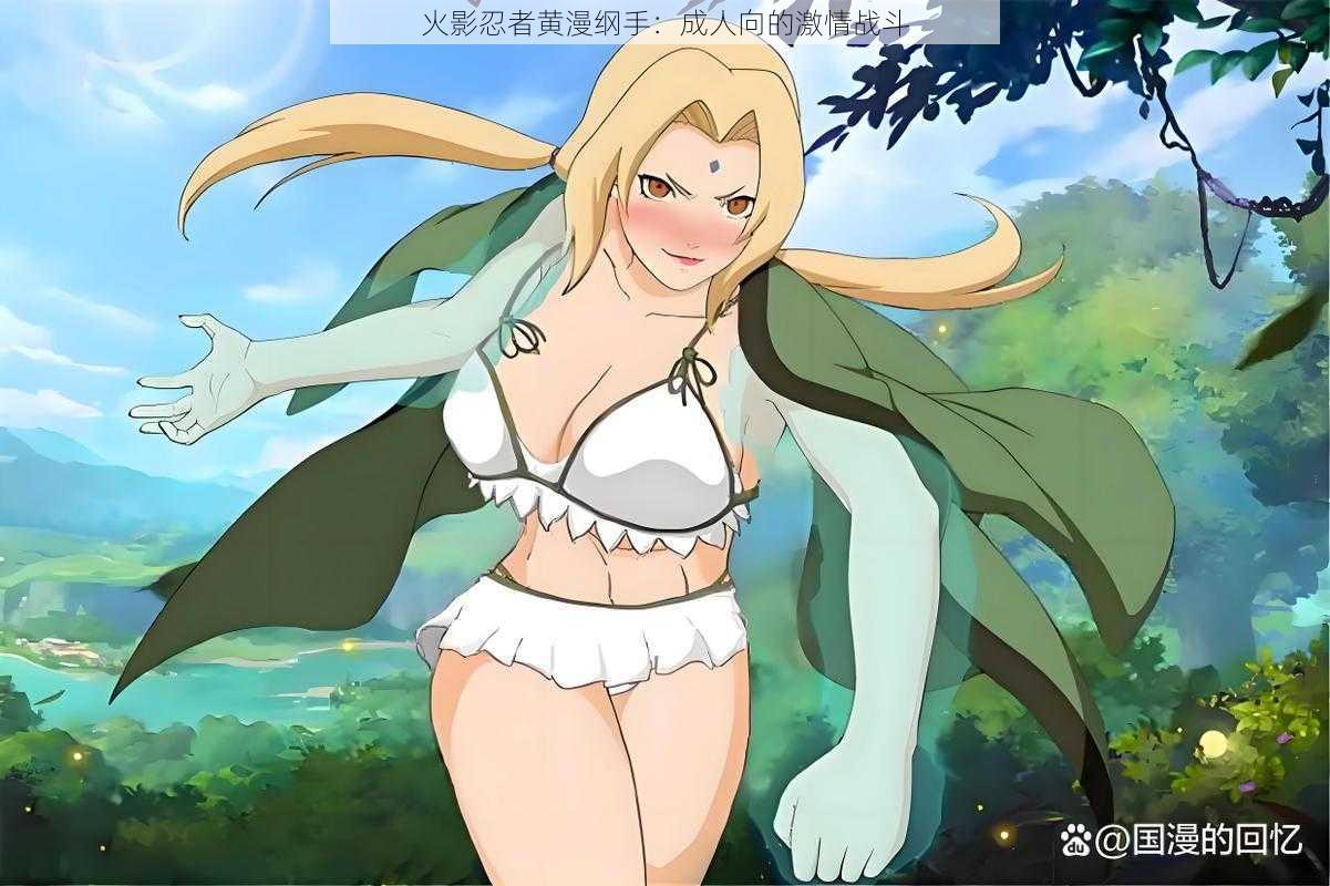 火影忍者黄漫纲手:成人向的激情战斗