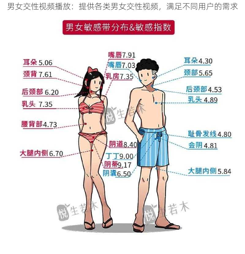 男女交性视频播放:提供各类男女交性视频,满足不同用户的需求