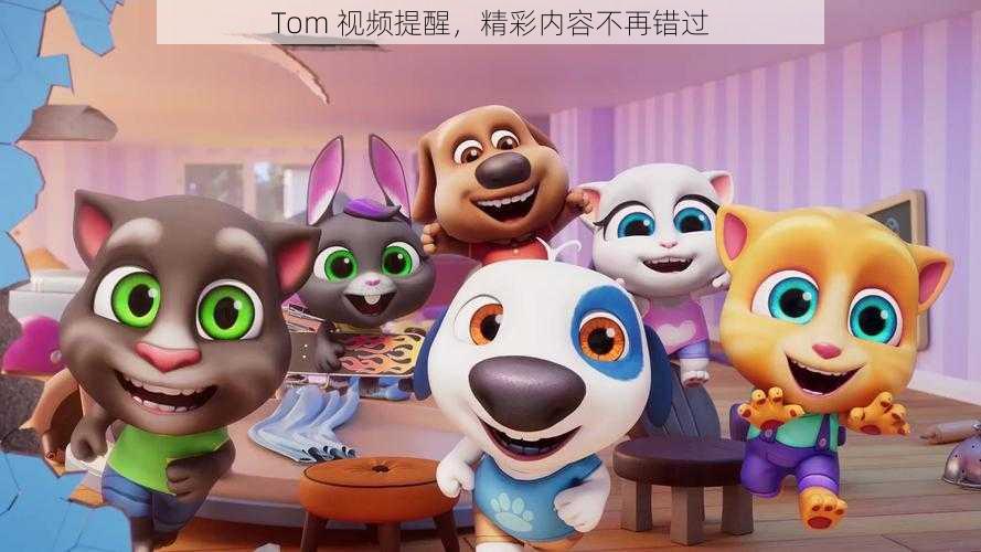 Tom 视频提醒,精彩内容不再错过