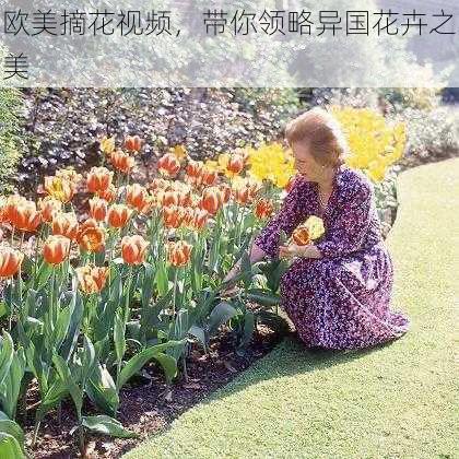 欧美摘花视频,带你领略异国花卉之美