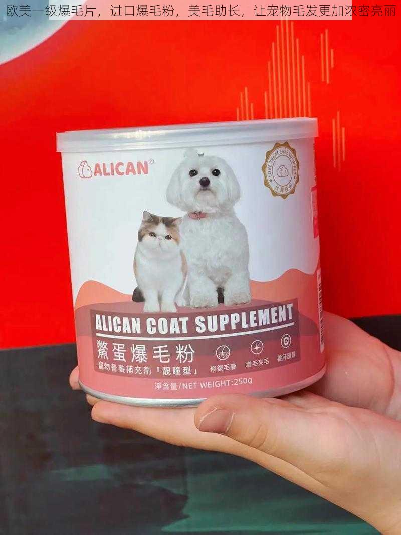 欧美一级爆毛片,进口爆毛粉,美毛助长,让宠物毛发更加浓密亮丽