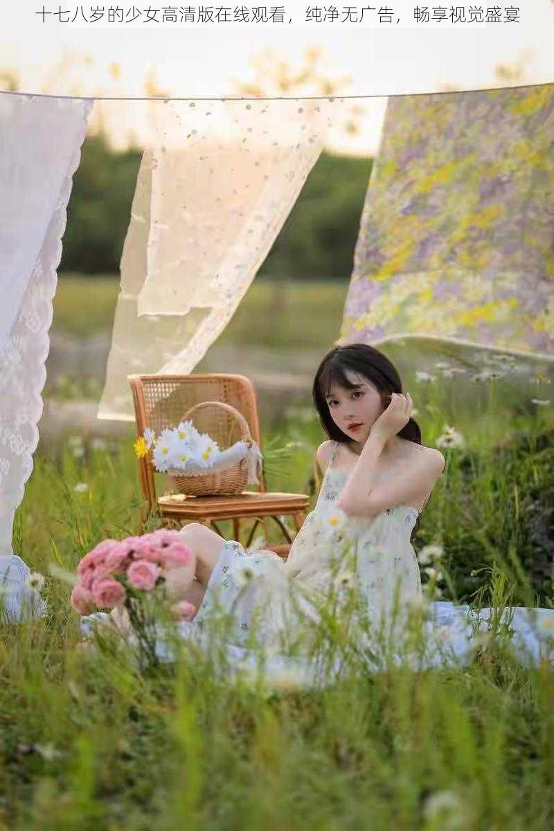 十七八岁的少女高清版在线观看,纯净无广告,畅享视觉盛宴