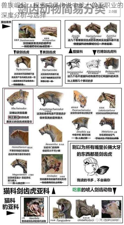 兽族崛起:探索戒灵传说中战士兽王职业的深度分析与选择