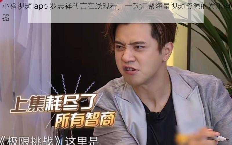 小猪视频 app 罗志祥代言在线观看,一款汇聚海量视频资源的娱乐神器