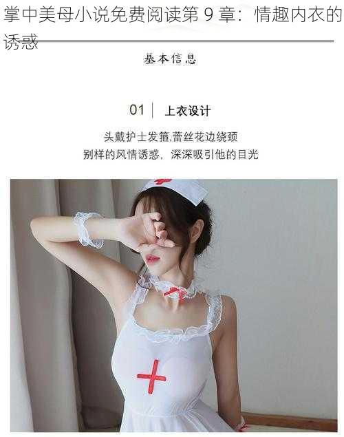 掌中美母小说免费阅读第 9 章:情趣内衣的诱惑