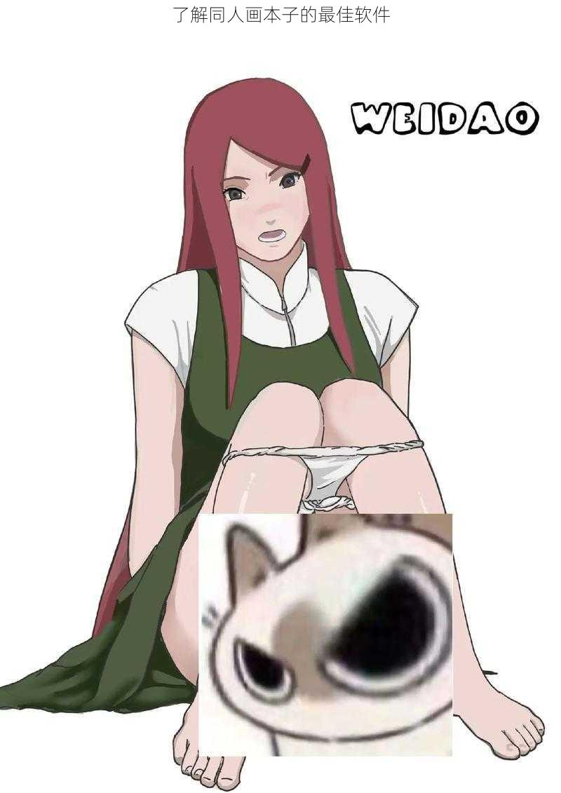 了解同人画本子的最佳软件