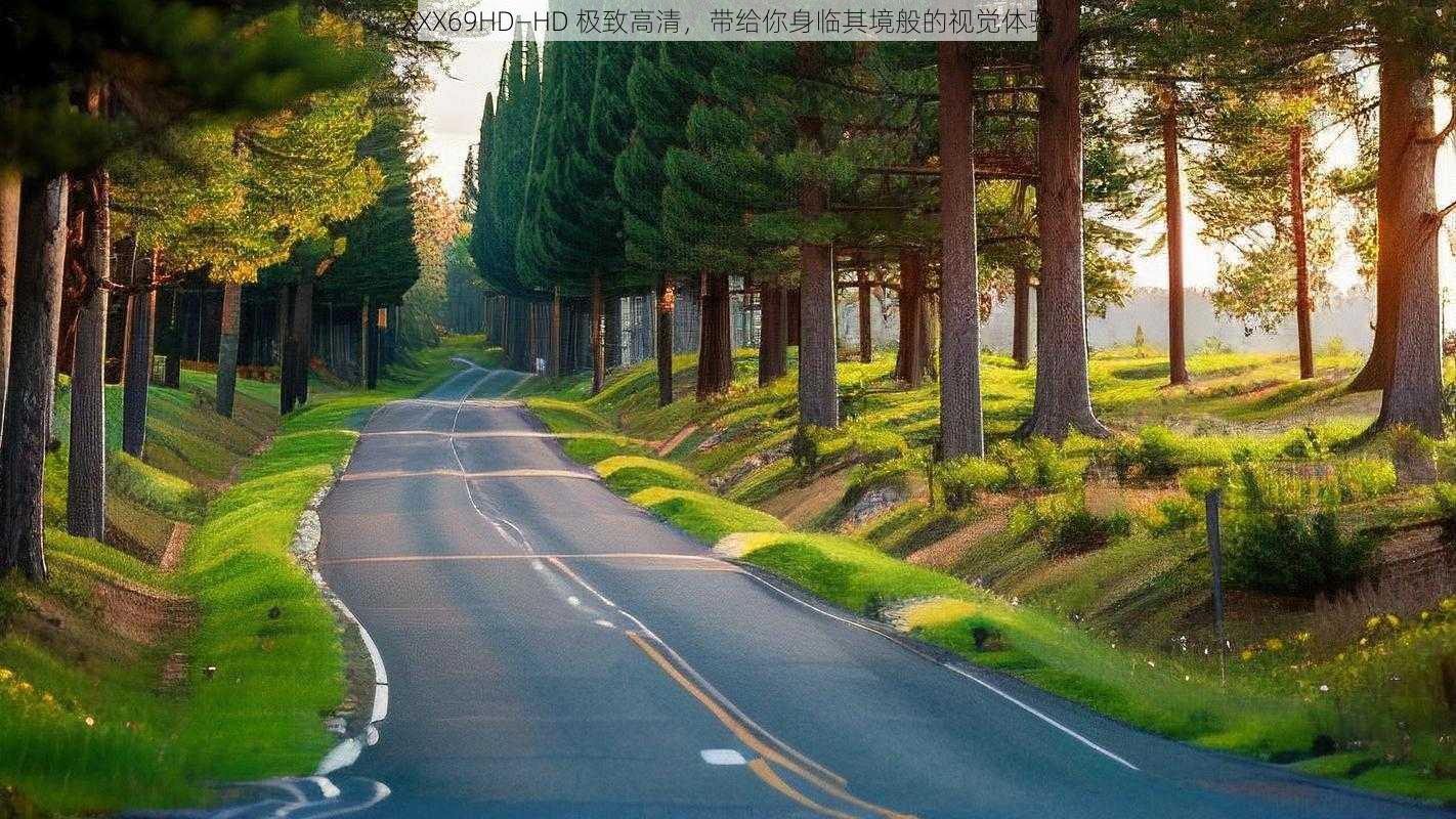 XXX69HD—HD 极致高清,带给你身临其境般的视觉体验