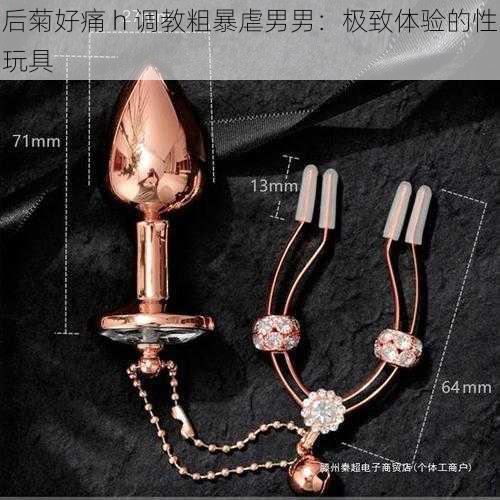 后菊好痛 h 调教粗暴虐男男:极致体验的性玩具
