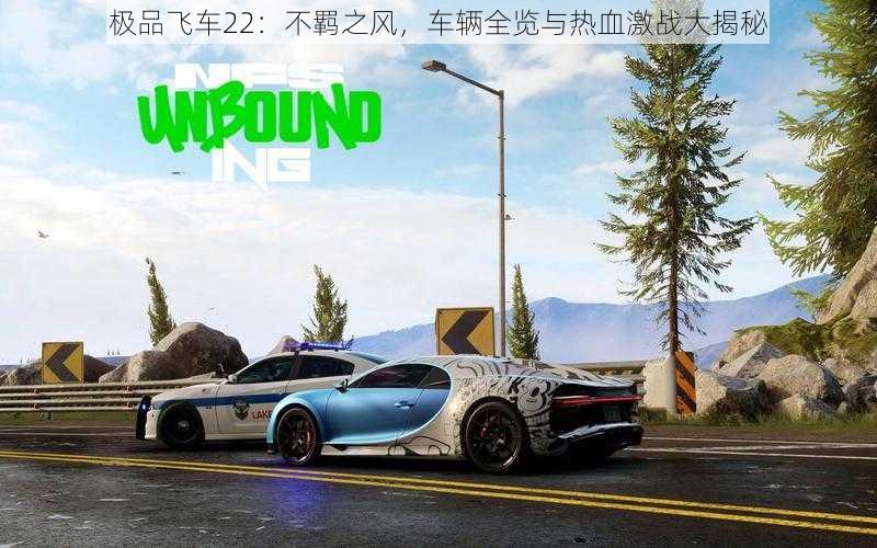 极品飞车22:不羁之风,车辆全览与热血激战大揭秘
