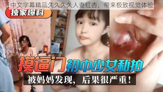 中文字幕精品久久久久人妻红杏,带来极致视觉体验
