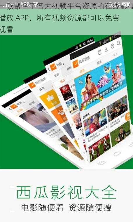 一款聚合了各大视频平台资源的在线影视播放 APP,所有视频资源都可以免费观看