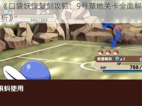 《口袋妖怪复刻攻略:9号草地关卡全面解析》