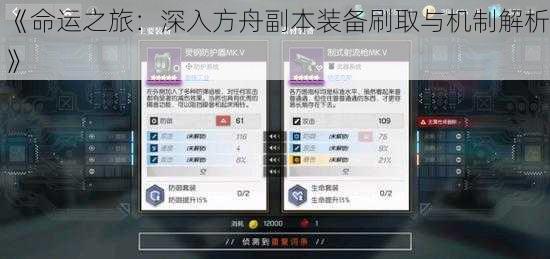 《命运之旅:深入方舟副本装备刷取与机制解析》