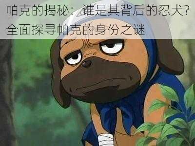 帕克的揭秘:谁是其背后的忍犬?全面探寻帕克的身份之谜