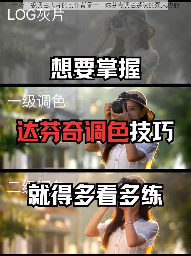 一级二级调色大片的创作背景一:达芬奇调色系统的强大功能