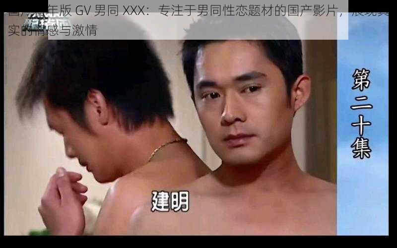 国产青年版 GV 男同 XXX:专注于男同性恋题材的国产影片,展现真实的情感与激情