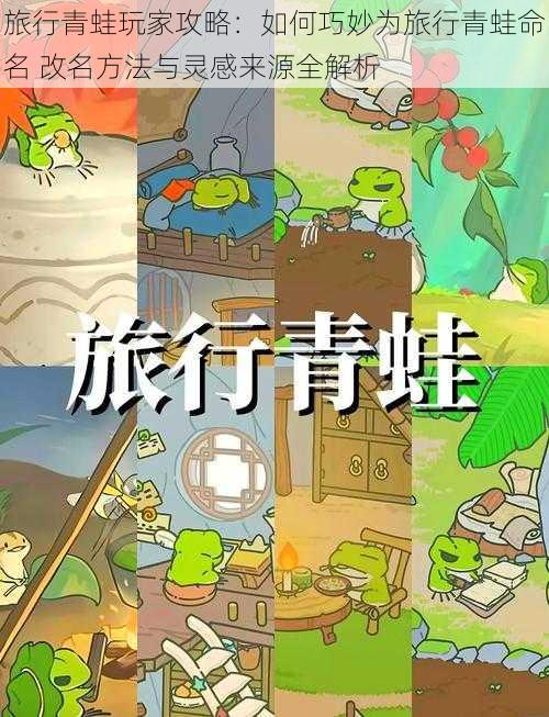 旅行青蛙玩家攻略:如何巧妙为旅行青蛙命名 改名方法与灵感来源全解析