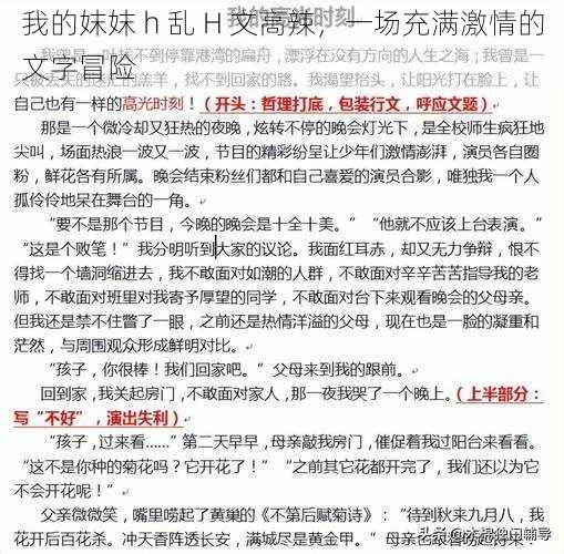 我的妺妺 h 乱 H 文高辣,一场充满激情的文字冒险