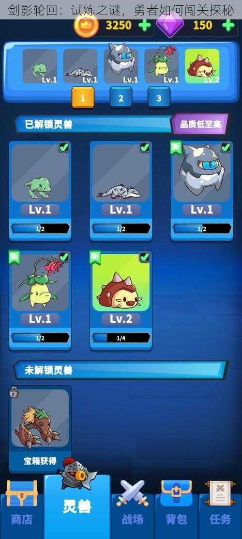 剑影轮回:试炼之谜,勇者如何闯关探秘
