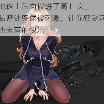 地铁上后面被进了高 H 文,私密处突然被刺激,让你感受前所未有的快乐