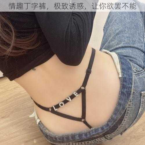 情趣丁字裤,极致诱惑,让你欲罢不能