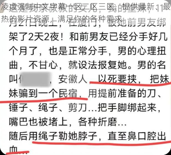 凌虐强制中文字幕一区二区三区,提供最新、最热的影片资源,满足你的各种需求