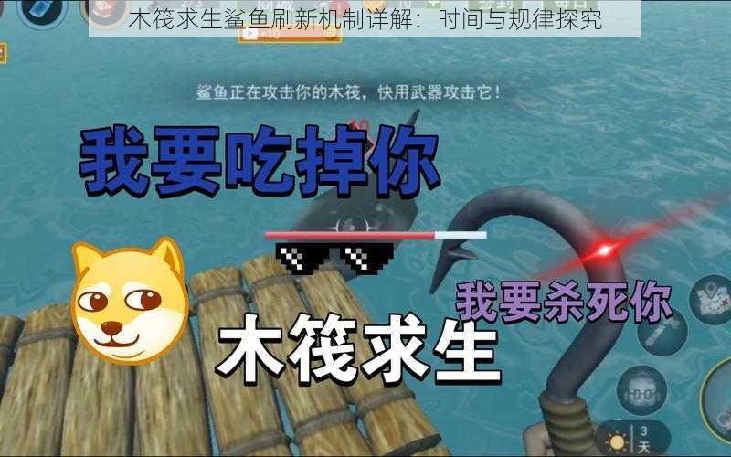 木筏求生鲨鱼刷新机制详解:时间与规律探究