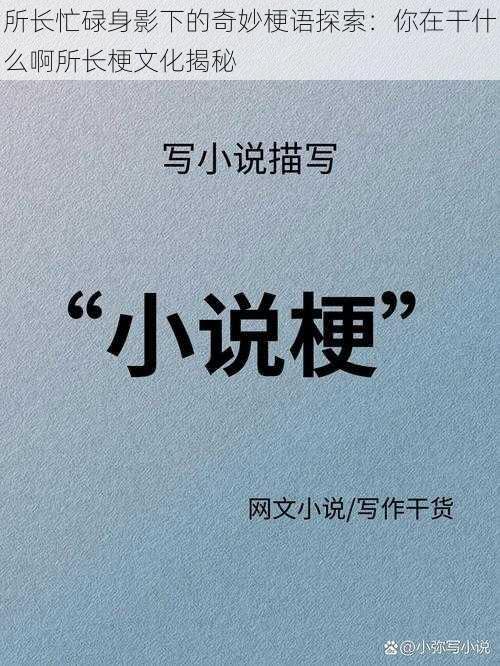 所长忙碌身影下的奇妙梗语探索:你在干什么啊所长梗文化揭秘